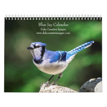Blue Jay 2024 Calendar by debscreative at Zazzle
