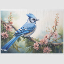 Blue Jay 2 Decoupage Paper