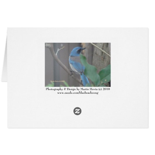 Blue Jay (2a) - Customizable (Back Horizontal)