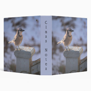 Blue Jay 3 Ring Binder