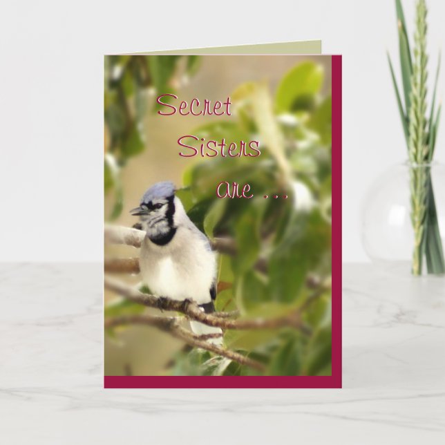 Blue Jay 6435 Secret Sister- customize Card (Front)