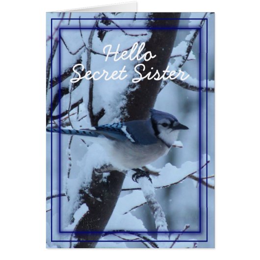 Blue Jay 7133- customize any occasion Cards (Front)