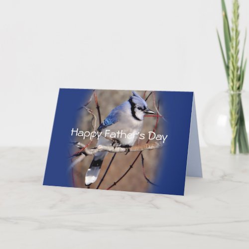 Blue Jay 8878 ovlgct_customize any occasion Card