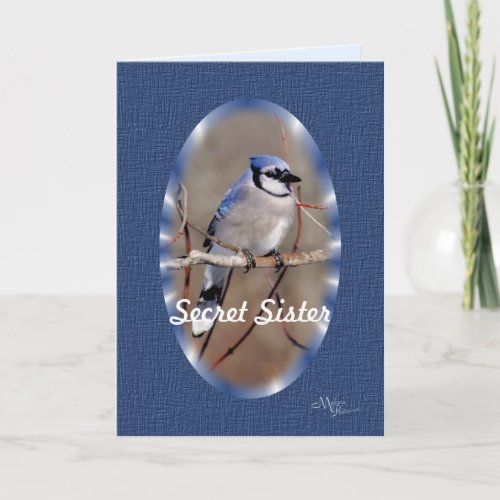 Blue Jay 8883_ customize Card