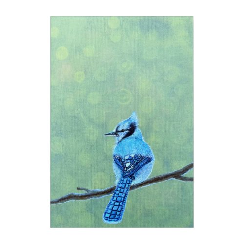 Blue Jay Acrylic Print