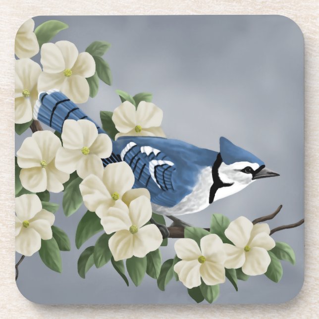 Blue Jay Among Flowers Drink Coaster (Front)