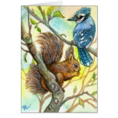 Blue Jay And Squirrel (Front)