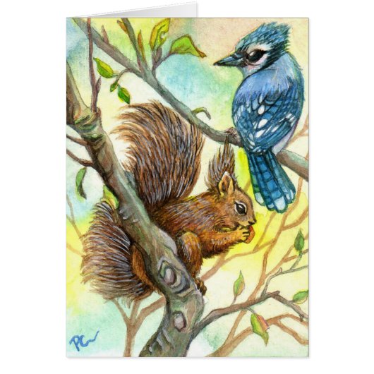 Blue Jay And Squirrel Cards (Front)