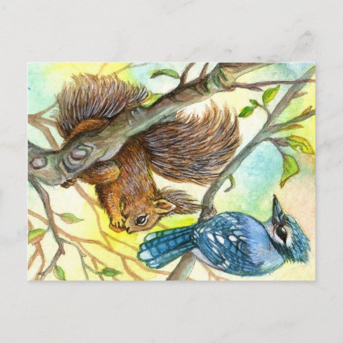 Blue Jay And Squirrel Postcard