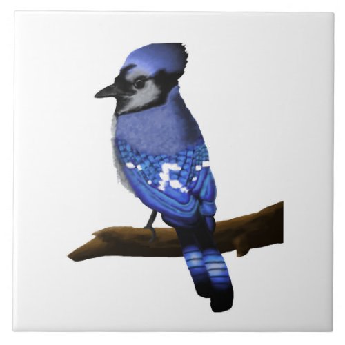 Blue Jay Art   Ceramic Tile