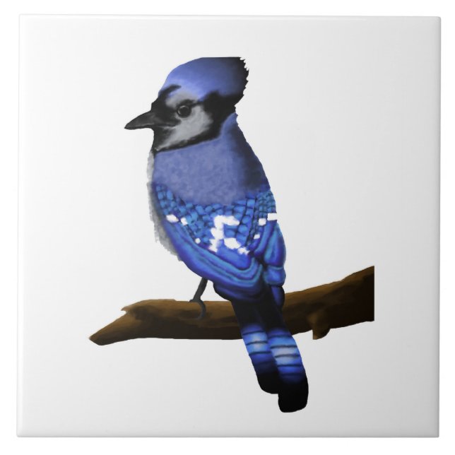Blue Jay Art   Ceramic Tile (Front)