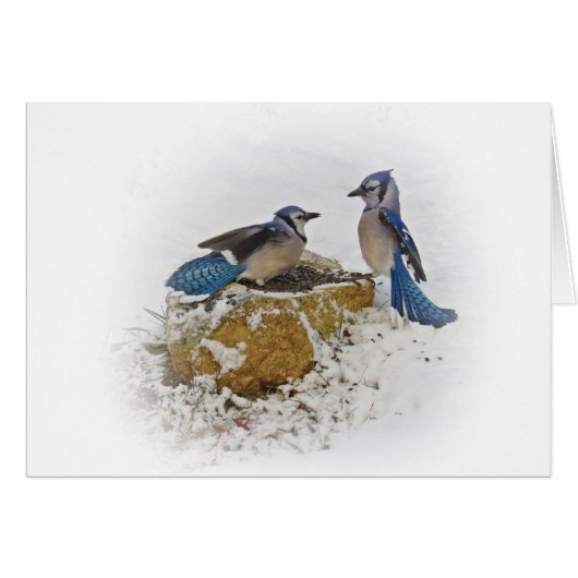 Blue Jay Battle Cards (Front Horizontal)