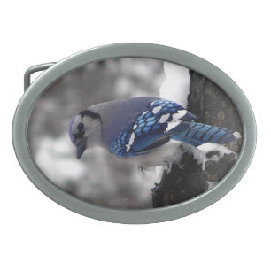 Blue Jay Belt Buckle