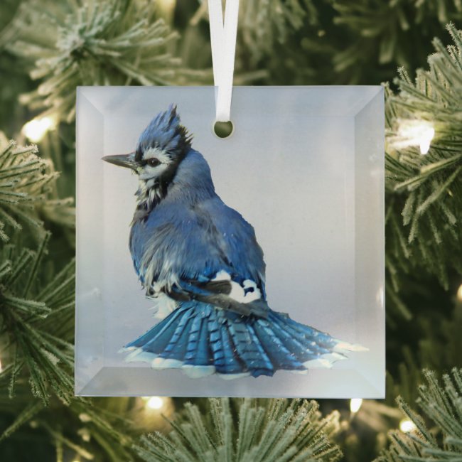 Blue Jay Beveled Glass Ornament