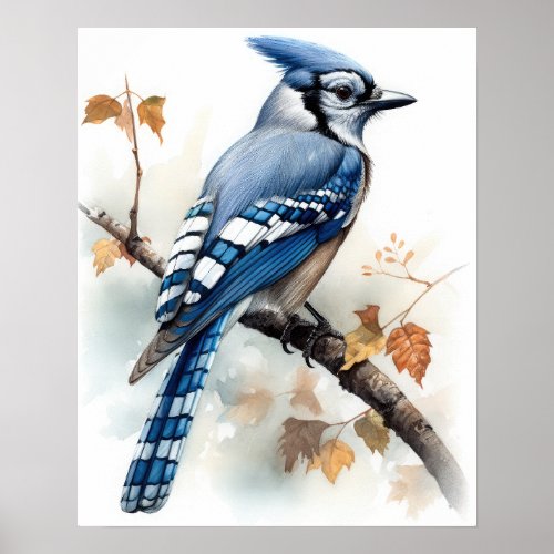Blue Jay Bird Art Print Poster