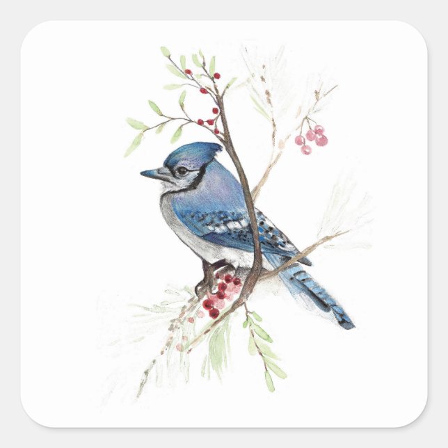 Blue Jay Bird Berries Square Sticker (Front)