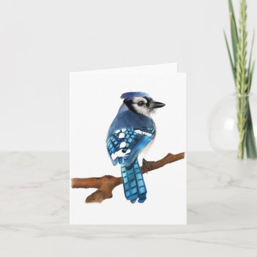 Blue Jay bird blank Folded Greeting Card