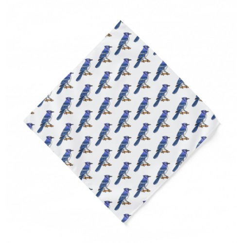 Blue jay bird cartoon illustration  bandana