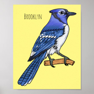 Blue jay bird cartoon illustration poster