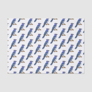 Blue jay bird cartoon illustration tissue paper