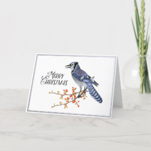 Blue Jay Bird Merry Christmas Berry Silver Nature Holiday Card