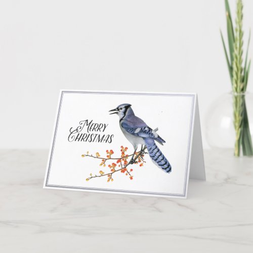 Blue Jay Bird Merry Christmas Berry Silver Nature  Holiday Card