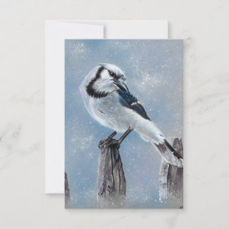 Blue jay bird note card