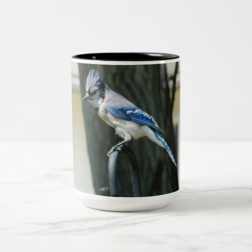 Blue Jay Bird Photography 15oz Coffee Mug
