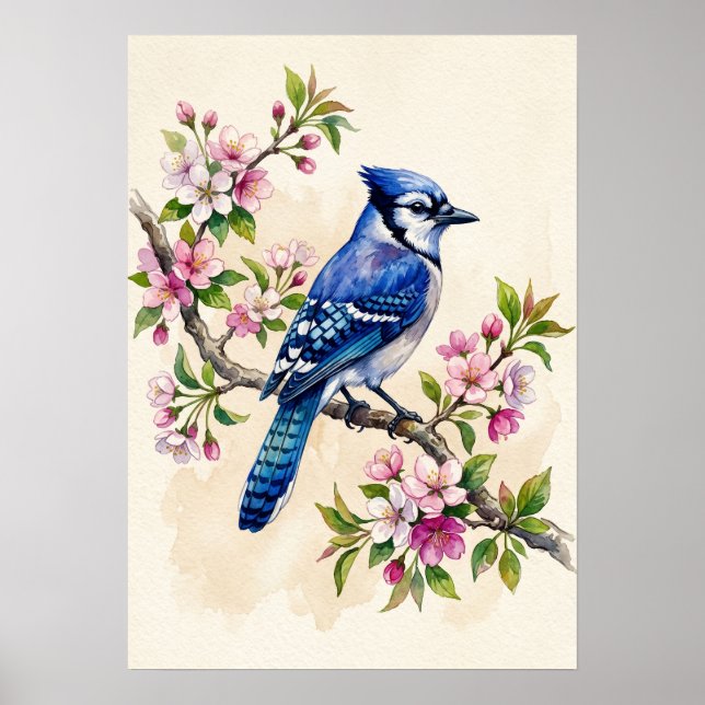 Blue Jay Bird Poster (Front)