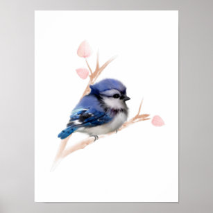 Cute Blue Jay Art Wall Decor Zazzle