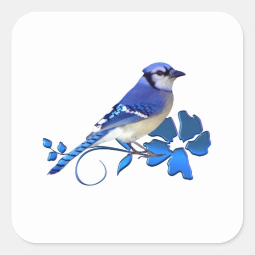 Blue Jay Bird Square Sticker
