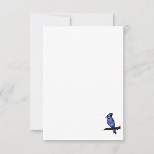 Blue Jay Bird Thank You Card