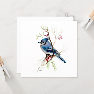 Blue Jay Bird Watercolor