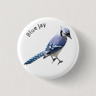 Blue Jay Button