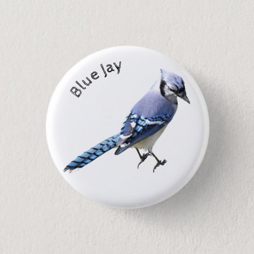 Blue Jay Button