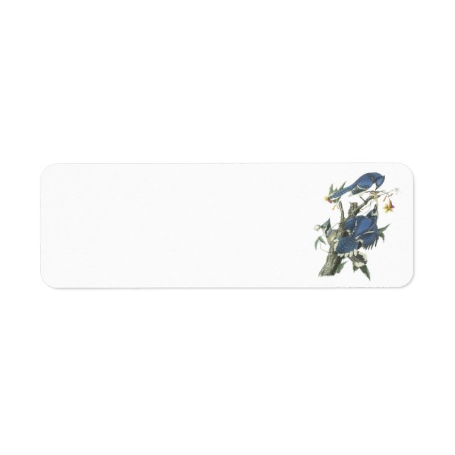 Blue Jay by Audubon Label (Front)