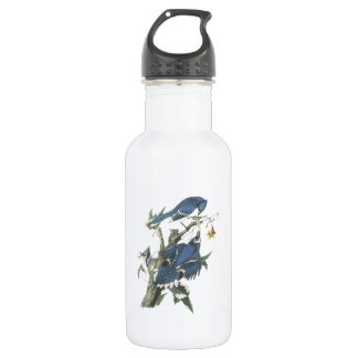 Blue Jay by Audubon Stainless Steel Water Bottle