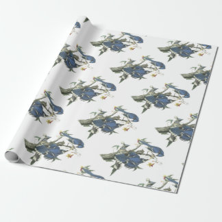 Blue Jay by Audubon Wrapping Paper