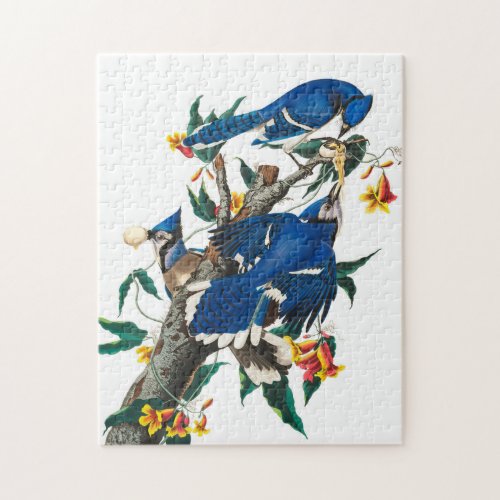 Blue Jay by John James Audubon Jigsaw Puzzle