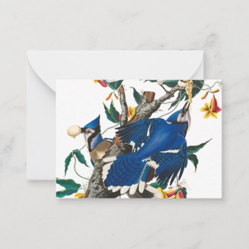 Blue Jay by John James Audubon Note Card