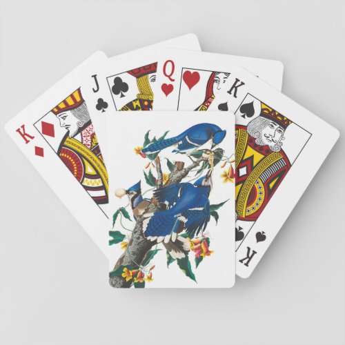 Blue Jay by John James Audubon Poker Cards