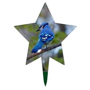 Blue Jay Cake Topper