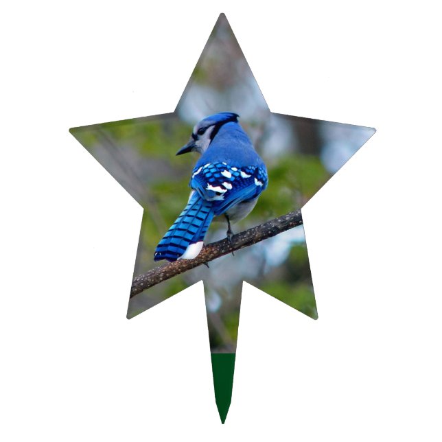 Blue Jay Cake Topper (Front)