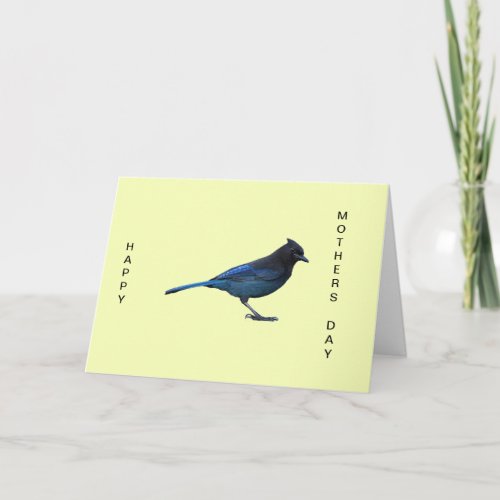 Blue Jay Card