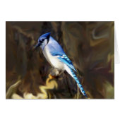 Blue Jay Cards (Front Horizontal)