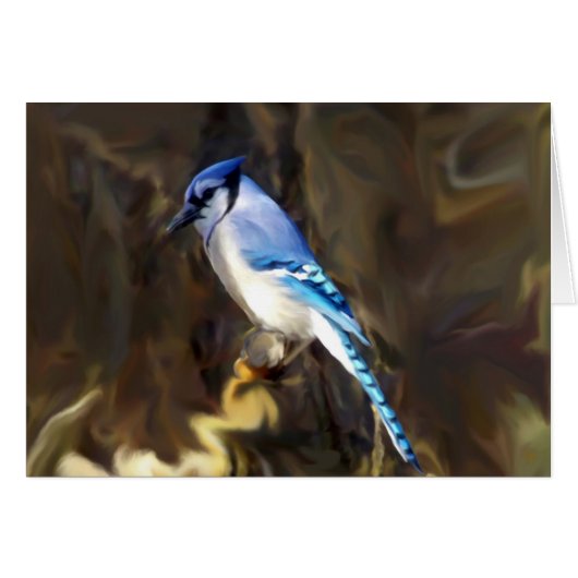 Blue Jay Cards (Front Horizontal)