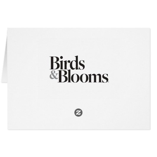 Blue Jay Cards (Back Horizontal)