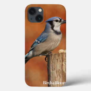 Blue Jay iPhone 13 Case