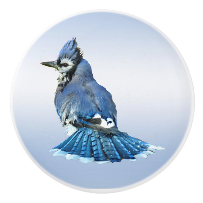 Blue Jay Ceramic Knob