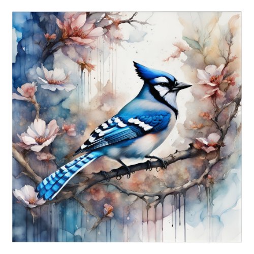 Blue Jay Cherry Blossoms watercolor Acrylic Print